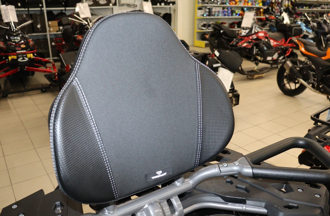 Квадроцикл PROMAX RENEGADE 300 LONG WINCH PRO (2025) в Уфе