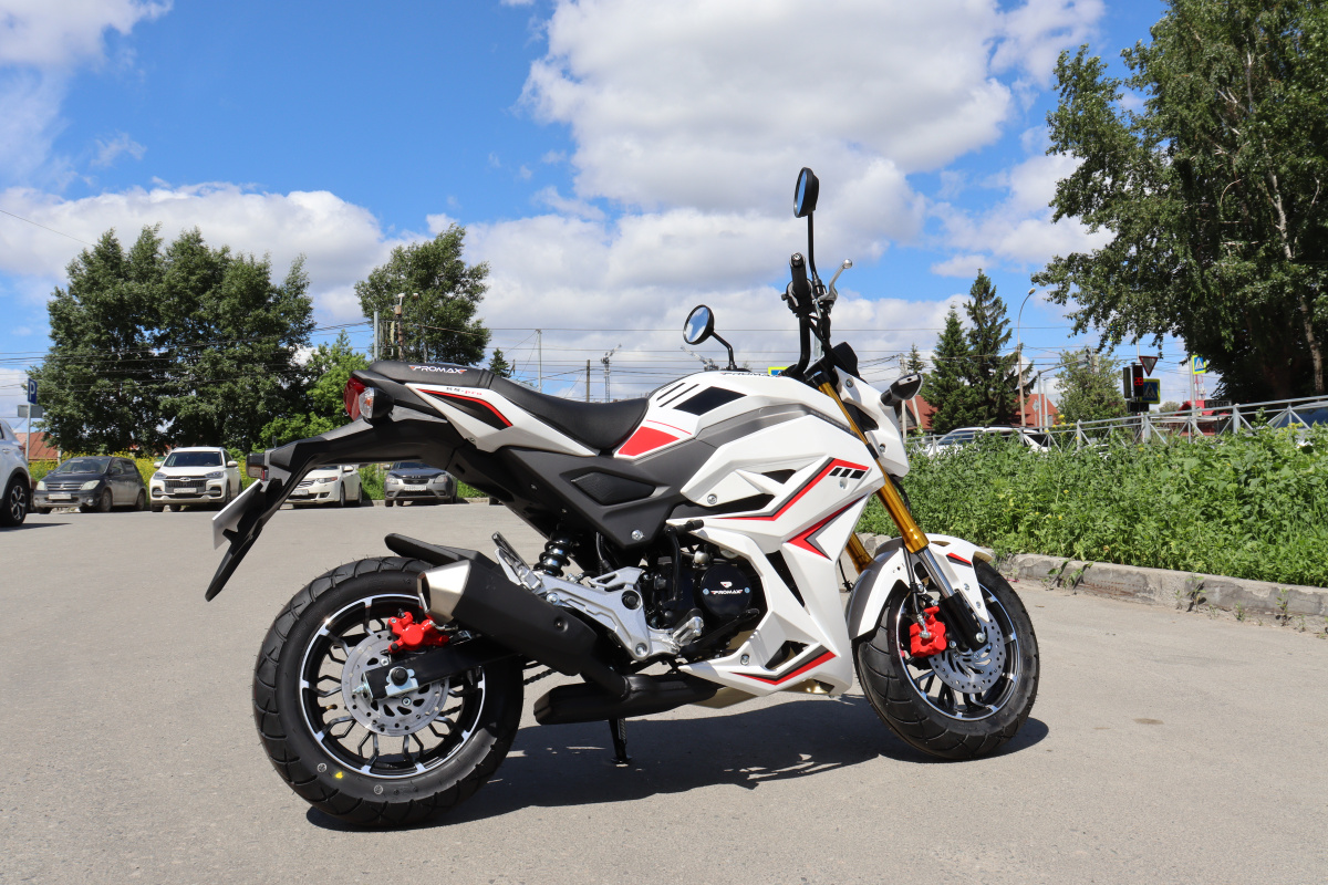 Мотоцикл PROMAX STRYKER 200(49) 2.0 в Уфе
