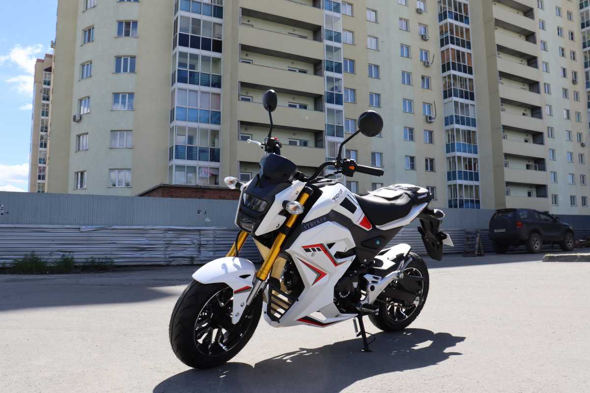 Мотоцикл PROMAX STRYKER 200(49) 2.0 в Уфе