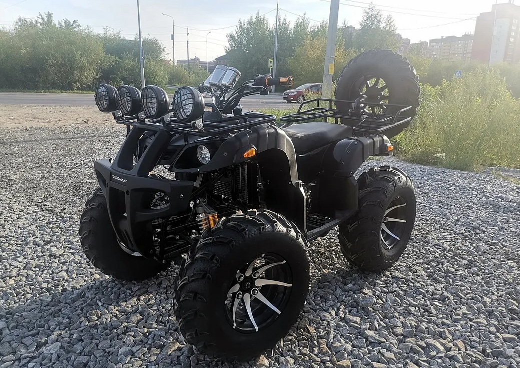 Квадроцикл PROMAX LEO 300 Max (кардан) в Уфе