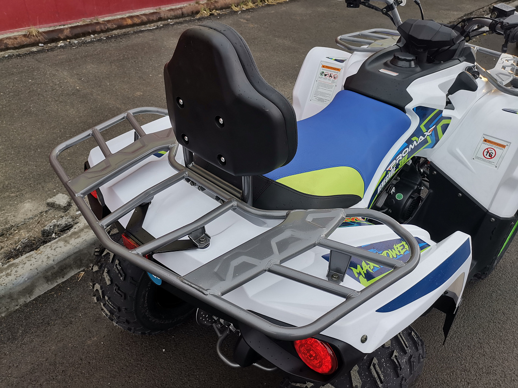 Квадроцикл PROMAX RENEGADE 280 LUX (2025) в Уфе