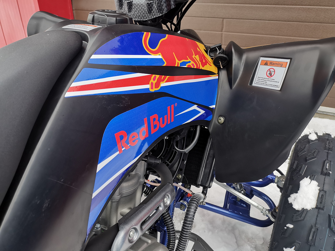 Квадроцикл PROMAX RAPTOR 300 NEW RedBull в Уфе