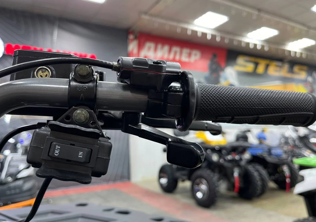 Квадроцикл PROMAX RENEGADE 300 LONG WINCH PRO (2025) в Уфе