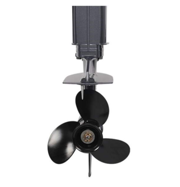 Лодочный мотор ALLFA CG Т40FW S в Уфе