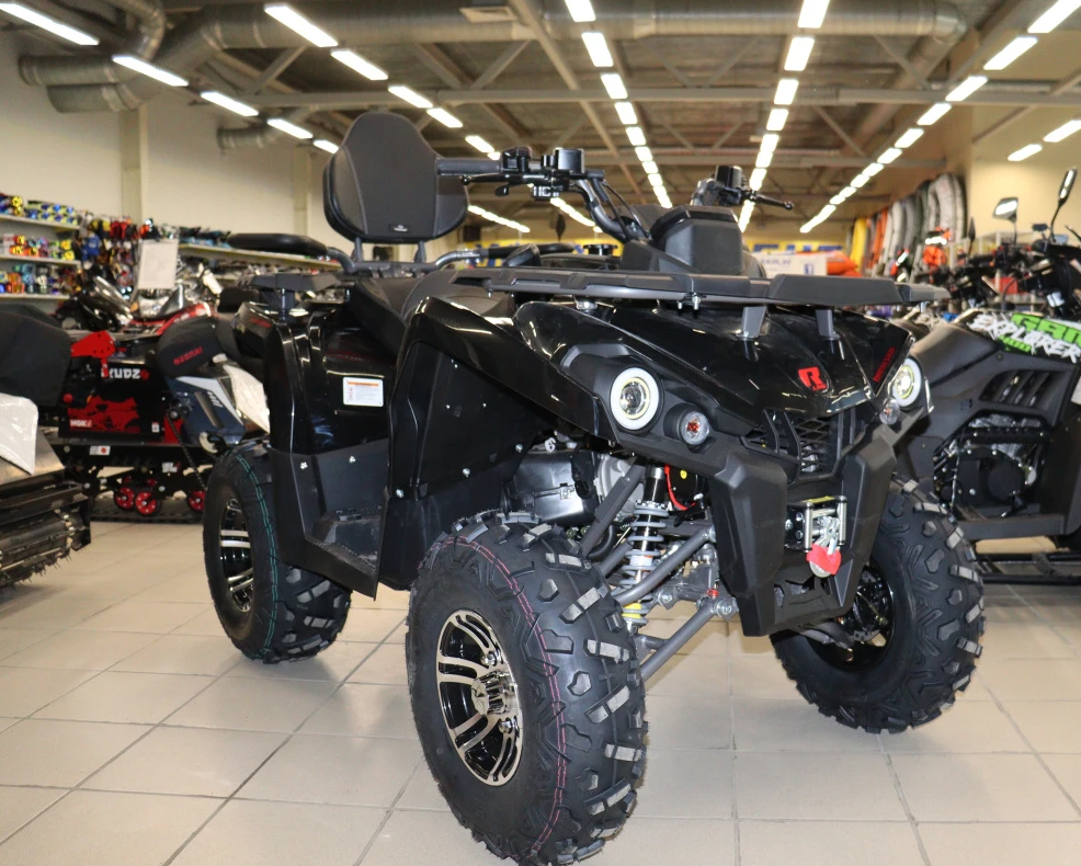 Квадроцикл PROMAX RENEGADE 300 LONG WINCH PRO (2025) в Уфе