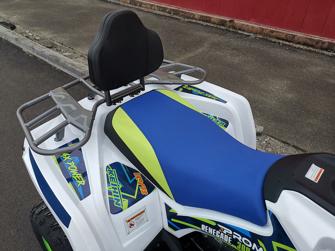 Квадроцикл PROMAX RENEGADE 280 LUX (2025) в Уфе