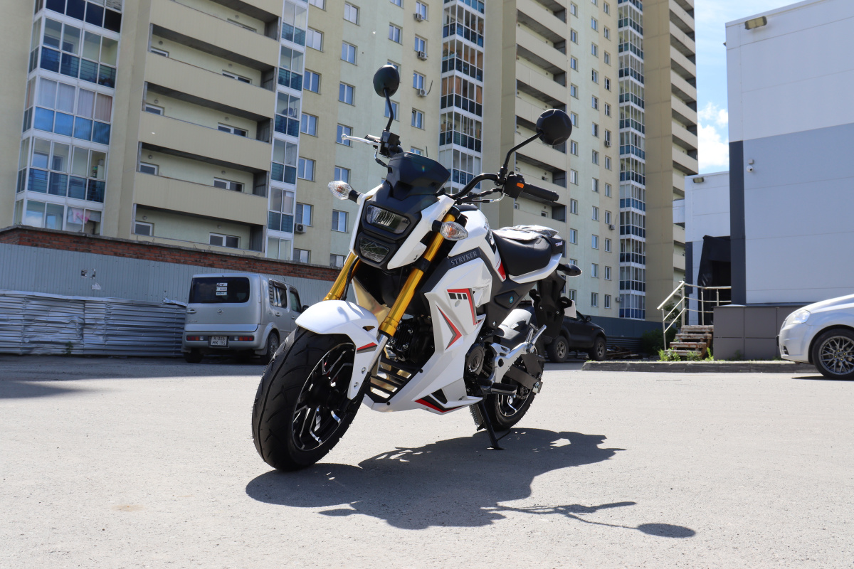 Мотоцикл PROMAX STRYKER 200(49) 2.0 в Уфе