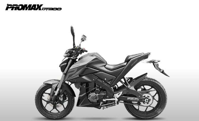 Мотоцикл PROMAX MT300 в Уфе