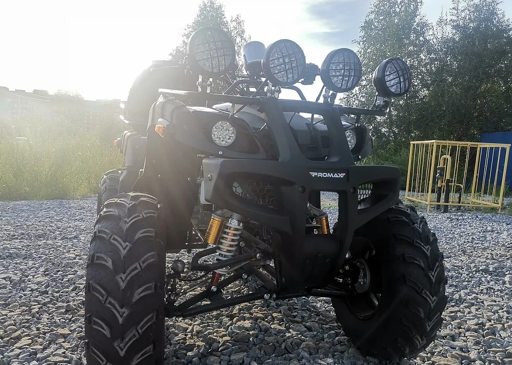 Квадроцикл PROMAX LEO 300 Max (кардан) в Уфе