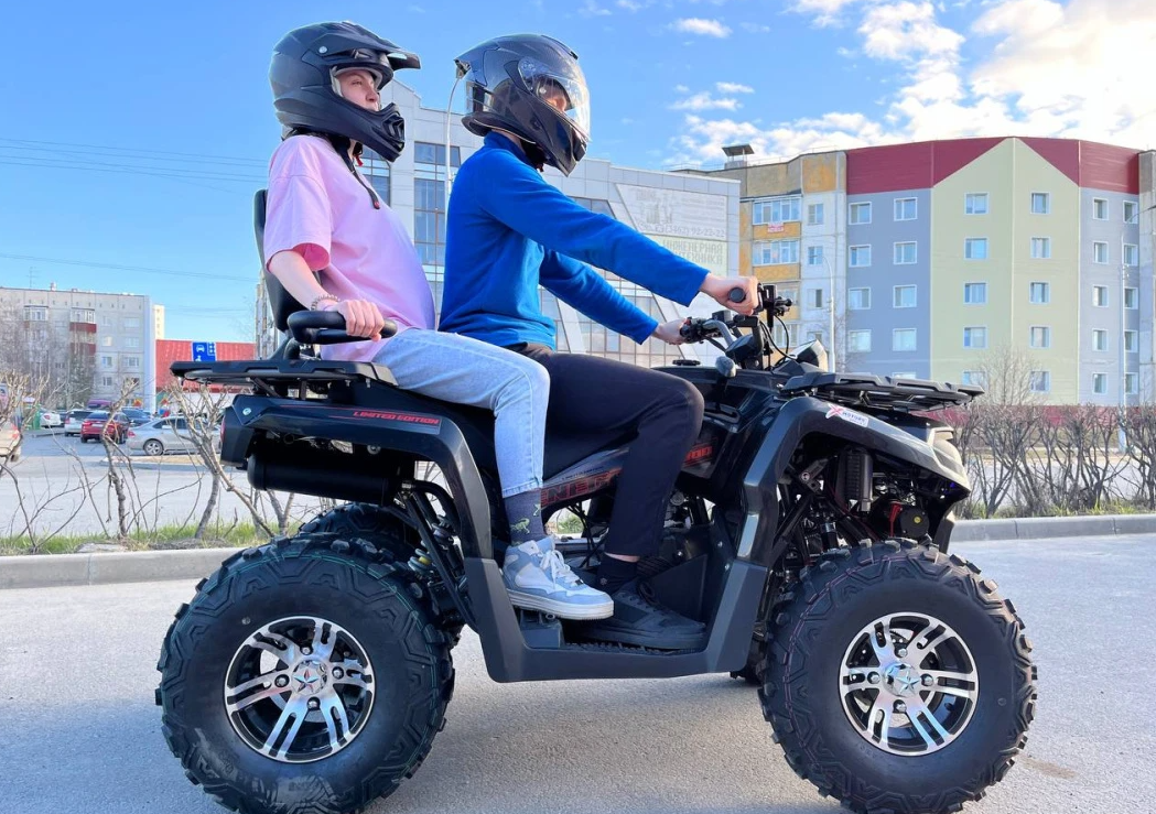 Квадроцикл PROMAX RENEGADE 300 LONG WINCH PRO (2025) в Уфе