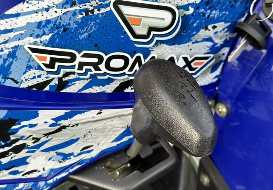  Квадроцикл PROMAX ATV 250 MAX (2025) в Уфе