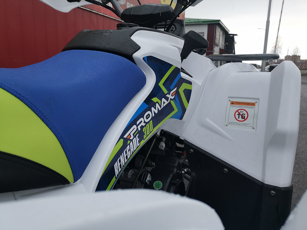 Квадроцикл PROMAX RENEGADE 280 LUX (2025) в Уфе