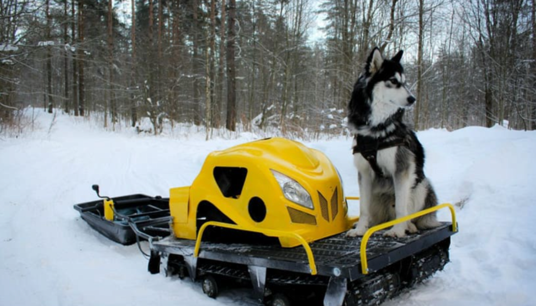 Мотобуксировщик LEBEDEV MOTORS ВОЛКОДАВ POWER V13 в Уфе