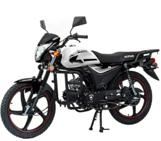 Мопед MOTOLAND (МОТОЛЕНД) Альфа RS 11 (LM48-B) в Уфе