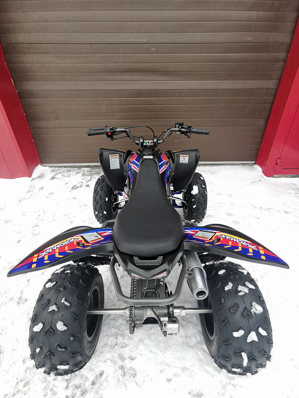 Квадроцикл PROMAX RAPTOR 300 NEW RedBull в Уфе