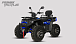 Квадроцикл PROMAX TAURUS 300 MAX-PRO LONG в Уфе