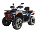 Квадроцикл MOTOLAND (МОТОЛЕНД) 300 MAX X в Уфе