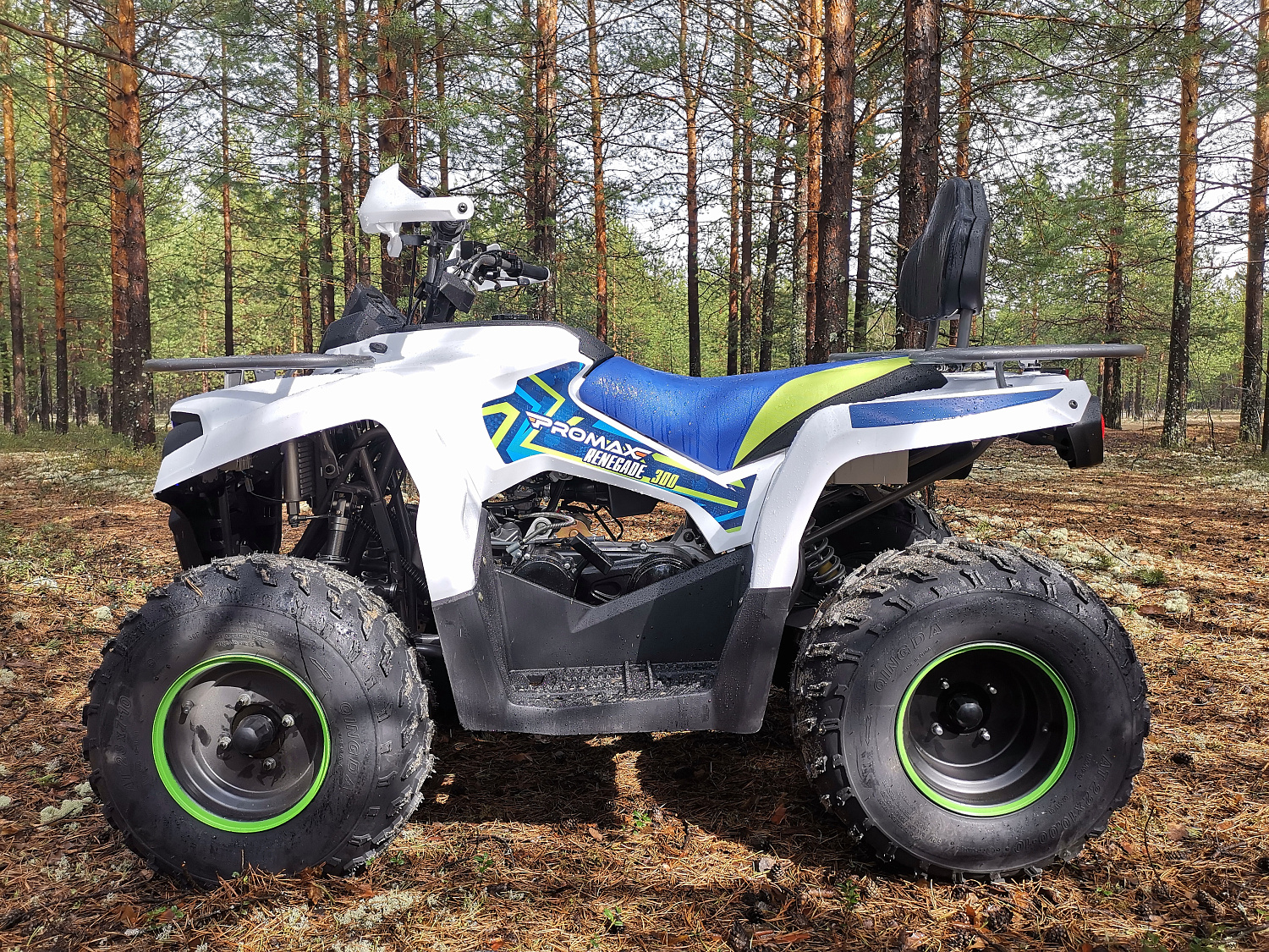 Квадроцикл PROMAX RENEGADE 280 (2025) в Уфе