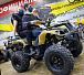 Квадроцикл PROMAX ATV 250 (2025) в Уфе