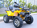 Квадроцикл MOTOLAND (МОТОЛЕНД) VOX200 WILD TRACK X PRO (баланс. вал) в Уфе