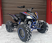 Квадроцикл PROMAX RAPTOR 300 NEW RedBull в Уфе