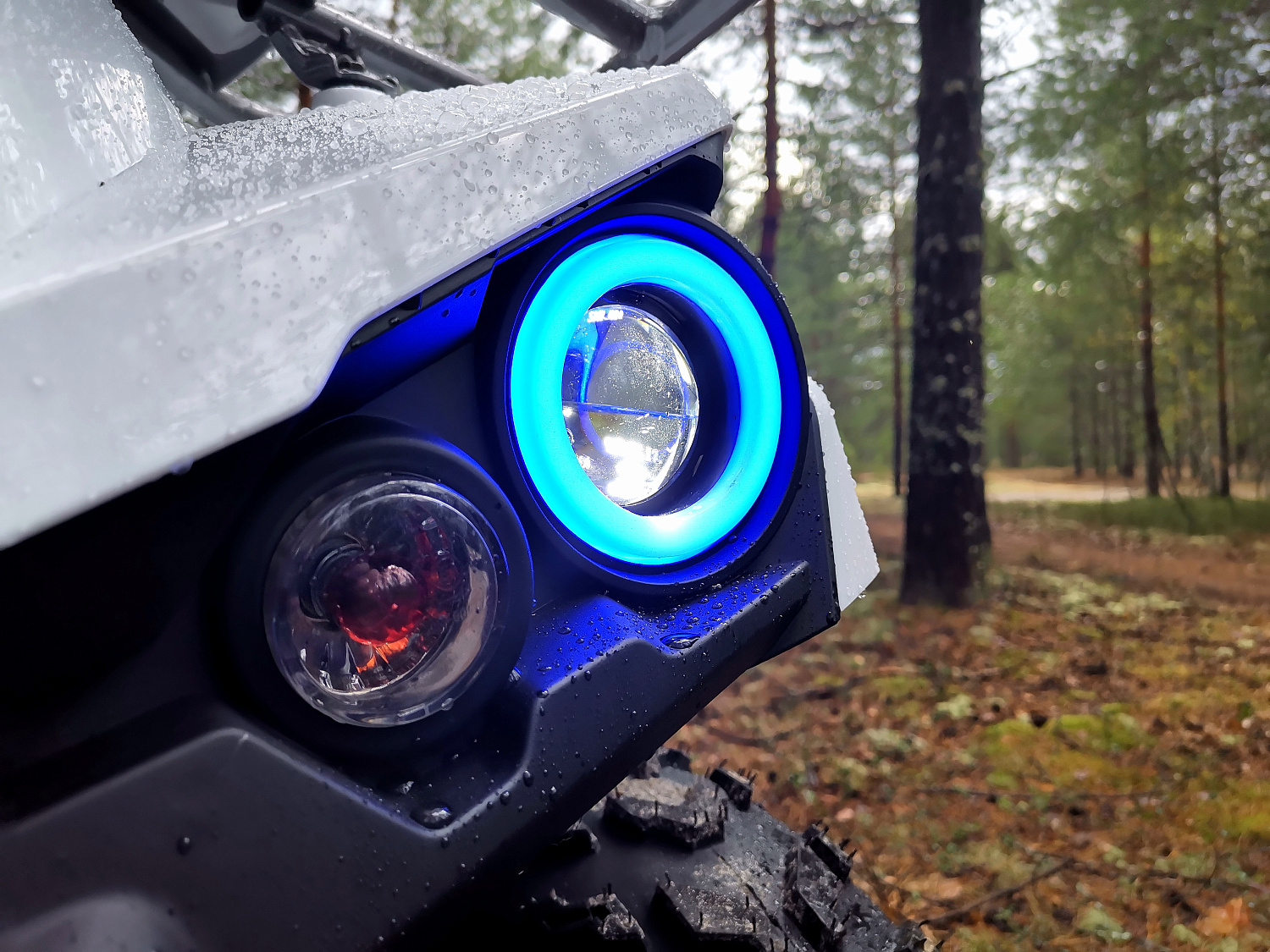 Квадроцикл PROMAX RENEGADE 280 (2025) в Уфе