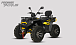 Квадроцикл PROMAX TAURUS 300 MAX-PRO LONG в Уфе